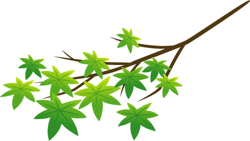 まだ緑色の葉の椛の枝を描いたイラスト。秋の訪れをテーマにしたデザインに。