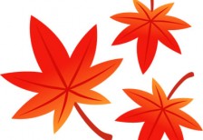 赤く紅葉したもみじの葉を描いたイラスト。秋のデザインに。