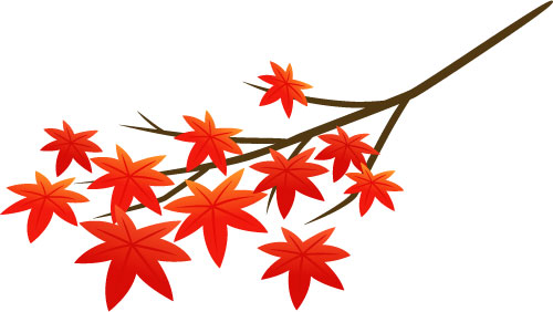 赤く染まったモミジの葉と枝を描いたイラスト。秋のデザインに。