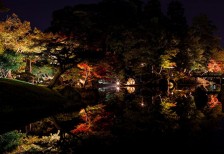 ライトアップされた錦秋の玄宮園の紅葉をを撮影した写真素材