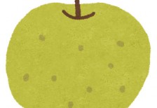 free-illustration-fruit-nashi