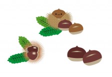 free-illustration-set-cute-chestnut