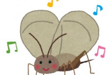 鈴虫を描いたイラスト。楽しそうに鳴いている可愛いデザイン。