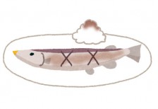 こんがり焦げ目がついた美味しそうな焼き秋刀魚を描いたイラスト。食欲の秋のデザインに。