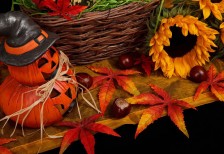 ハロウィンのかぼちゃ飾りや落ち葉にバスケットなどを並べた秋らしい写真素材