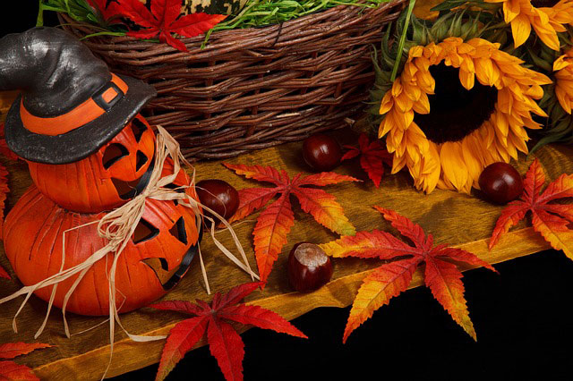 ハロウィンのかぼちゃ飾りや落ち葉にバスケットなどを並べた秋らしい写真素材