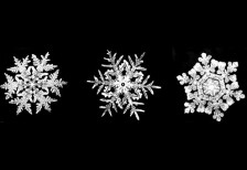 雪の結晶をデザインしたPhotoshop用ブラシ。繊細な幾何学模様が綺麗。