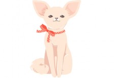 free-illustration-dog-chihuahua-ribbon