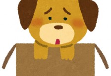 ダンボール箱に入って悲しそうな顔をした捨て犬を描いたイラスト