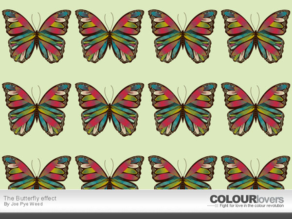 カラフルな蝶を大きくデザインした綺麗なで繊細なイラストパターン