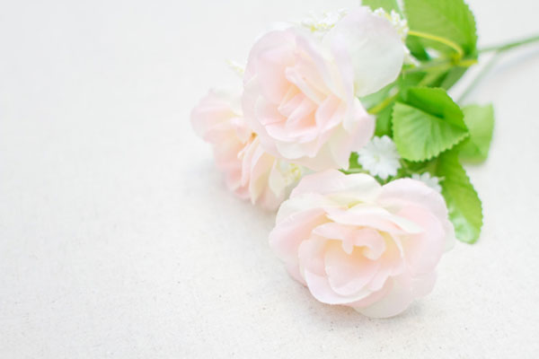 白いバラの造花を白バックで撮影した綺麗な写真素材