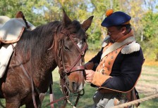 馬具を身につけた馬と騎兵のおじさんを撮影した写真素材