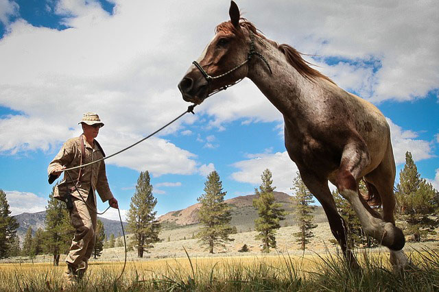 走る馬と調教師を撮影した写真素材。広角レンズを使ったアングルが迫力満点。