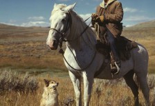 草原で白い馬に乗った牧場主のおじさんと犬を撮影した写真。レトロでクール雰囲気。
