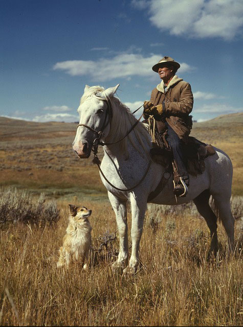 草原で白い馬に乗った牧場主のおじさんと犬を撮影した写真。レトロでクール雰囲気。