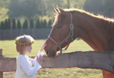 馬の鼻をなでる少女を逆光うで撮影した可愛い写真素材