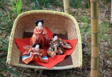 竹やぶの中のひな人形を撮影した和風な写真素材