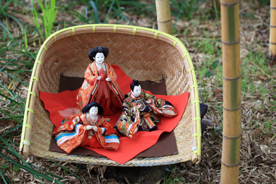 竹やぶの中のひな人形を撮影した和風な写真素材