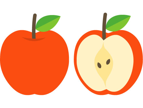 リンゴとリンゴの断面を描いたシンプルで可愛いベクターイラスト