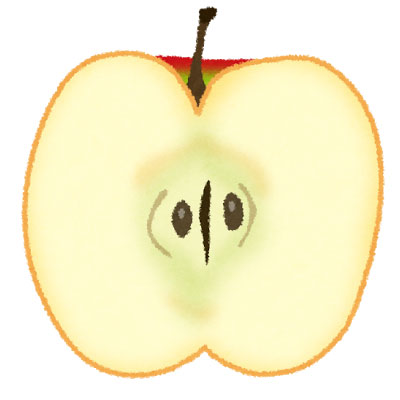 包丁で２つに切ったリンゴの断面を描いたイラスト素材