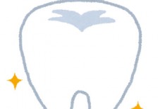 ぴかぴか光る健康な歯のイラスト。歯医者さんや歯の健康がテーマのデザインに。