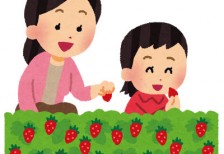 イチゴ狩りをするお母さんと娘のイラスト。家族のレジャーのデザイン。