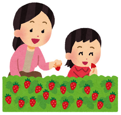 イチゴ狩りをするお母さんと娘のイラスト。家族のレジャーのデザイン。