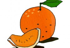 葉っぱのついたオレンジと切り分けたオレンジをラフな線で描いたイラスト