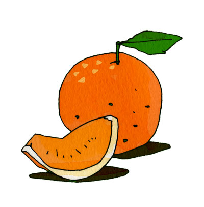 葉っぱのついたオレンジと切り分けたオレンジをラフな線で描いたイラスト