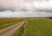 羊達のいる牧場の風景を撮影した写真素材。広大な大地とのどかな雰囲気が伝わる一枚。