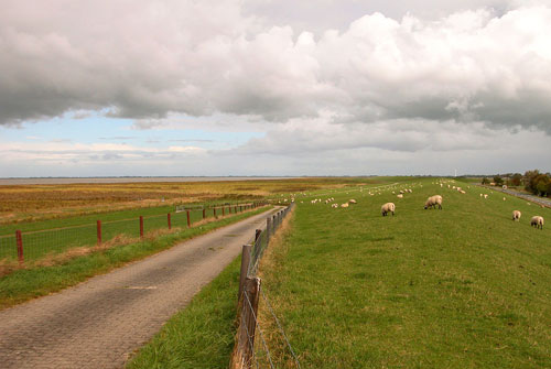 羊達のいる牧場の風景を撮影した写真素材。広大な大地とのどかな雰囲気が伝わる一枚。
