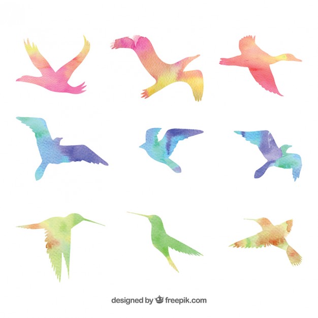 鳥のシルエットを水彩画風のタッチで描いた美しいベクターイラストセット